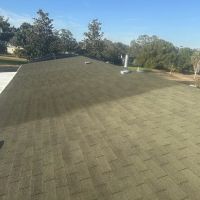 Bright Green Roof Central Florida ico