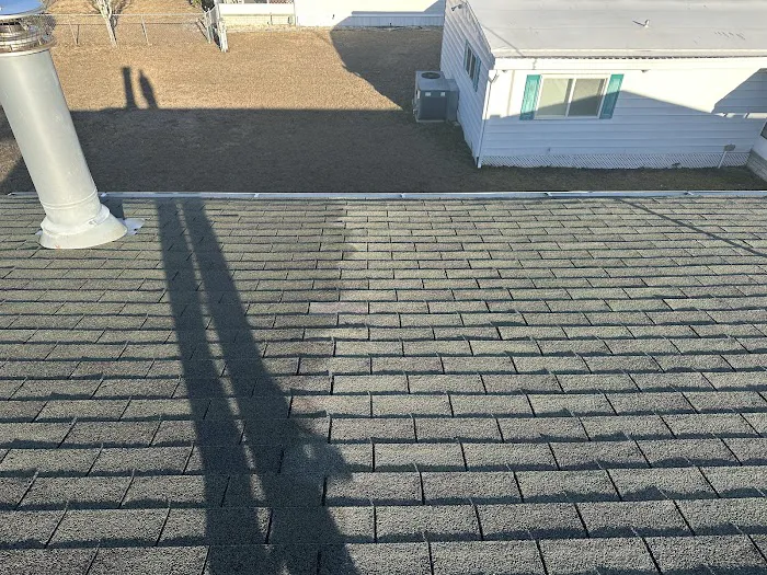 Bright Green Roof Central Florida Picture 8