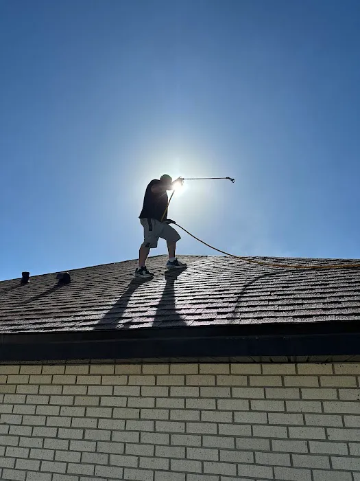 Bright Green Roof Central Florida Picture 5