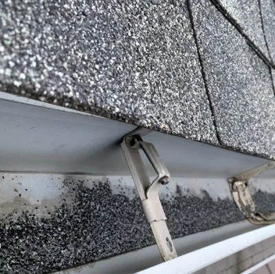 Bright Green Roof Central Florida Picture 3