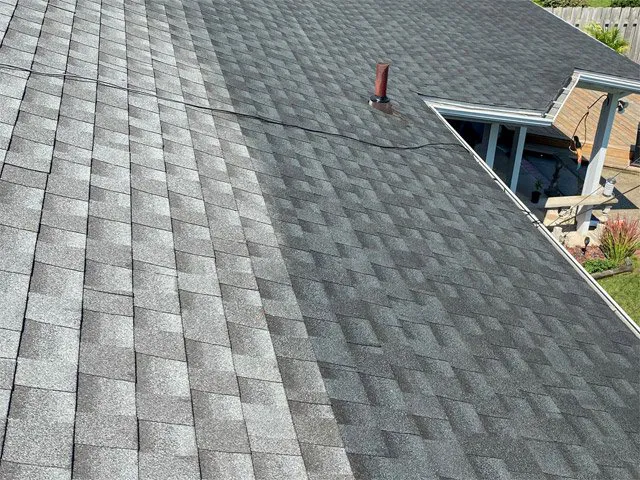 Bright Green Roof Central Florida Picture 6