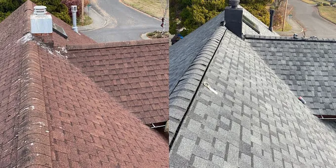 Empire Roofing Today Picture 4