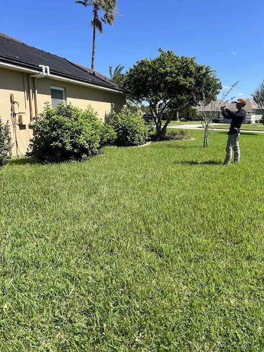 Empire Roofing Today Picture 6