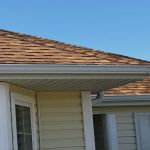 Eustis Roofing