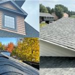 Red Turtle Roofing of Winter Park