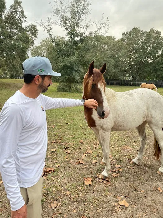 Fortified Roofing Solutions Corp. Picture 3