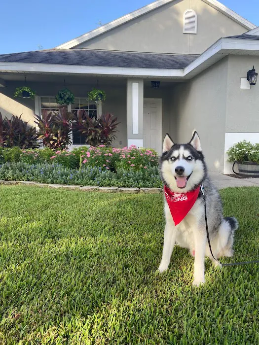 Mighty Dog Roofing Picture 1