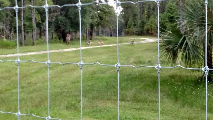 John S Roofing Picture 1