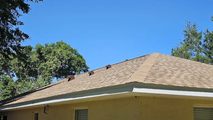 PRO Dry Roofing Picture 3
