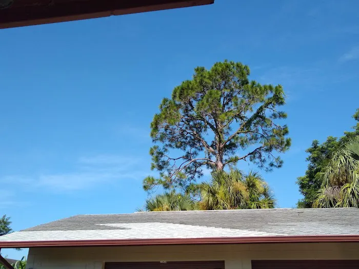 Roof Top Services of Central Florida, Inc. Picture 6