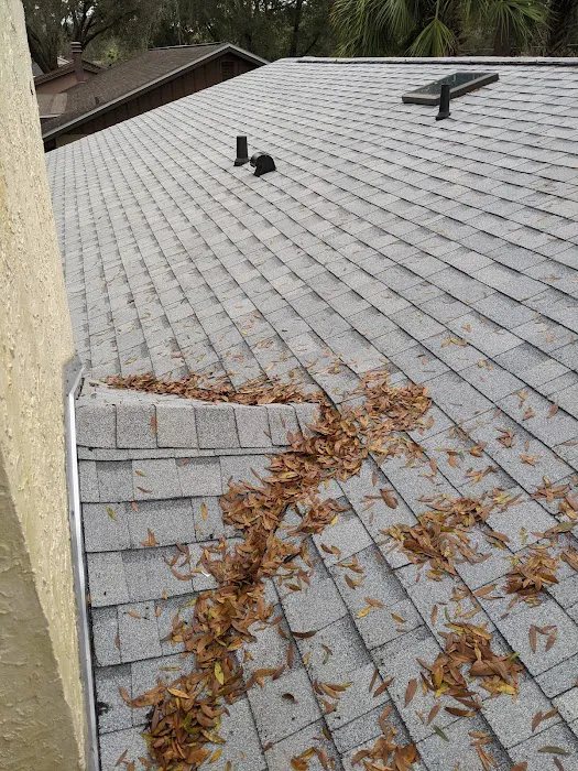 Creative Roofing Picture 5