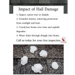 Storm Recovery Experts LLC