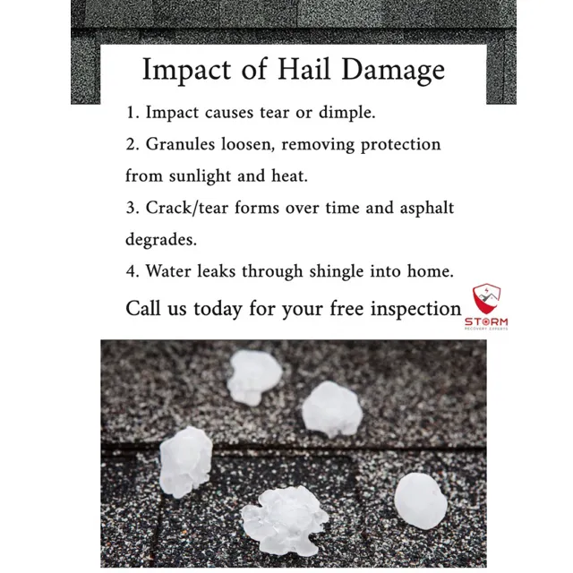 Storm Recovery Experts LLC Picture 4