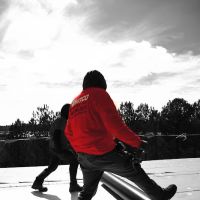 Whitco Roofing, Inc. ico