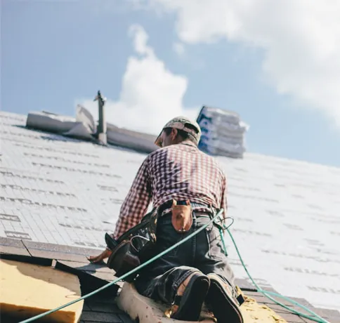 Swamp Roofing Picture 1