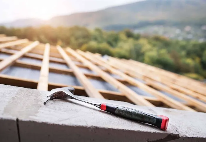 Swamp Roofing Picture 2