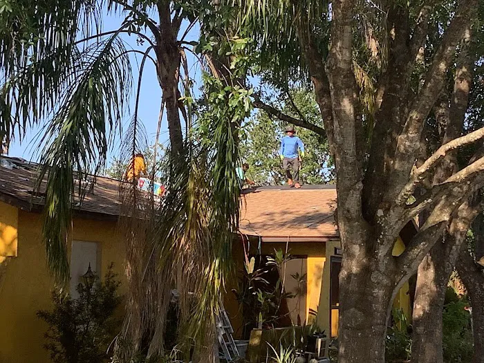 Able Sterling Roofing Picture 3