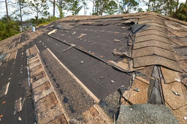 C-Perfect Roofing Picture 6