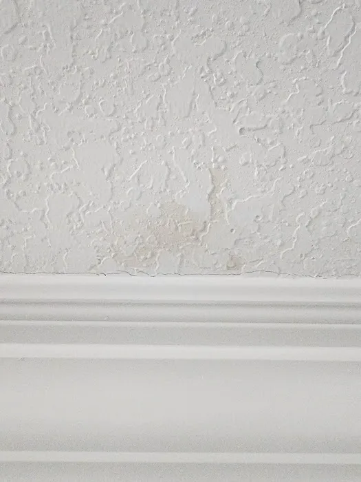 APEX ROOFING & RESTORATION Picture 8