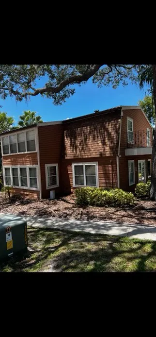 nivcoe international development Picture 2