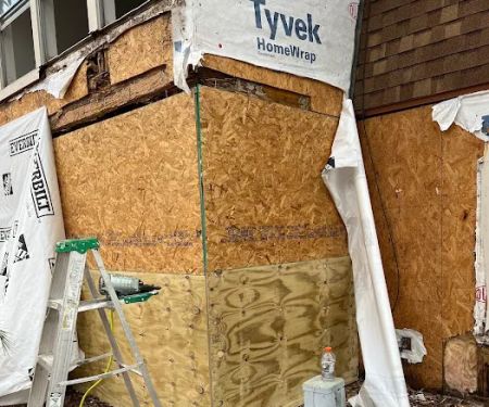 nivcoe international development