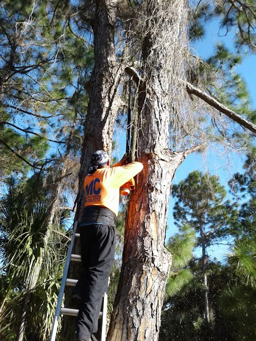 Sunny State Roofing, Inc. Picture 9