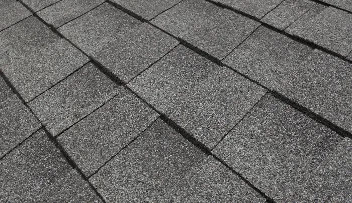 BPL Commercial Roofing Picture 4