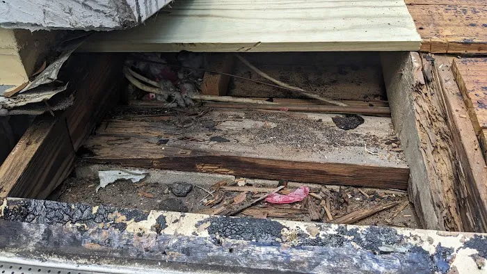 Mid Florida Roofing Picture 8