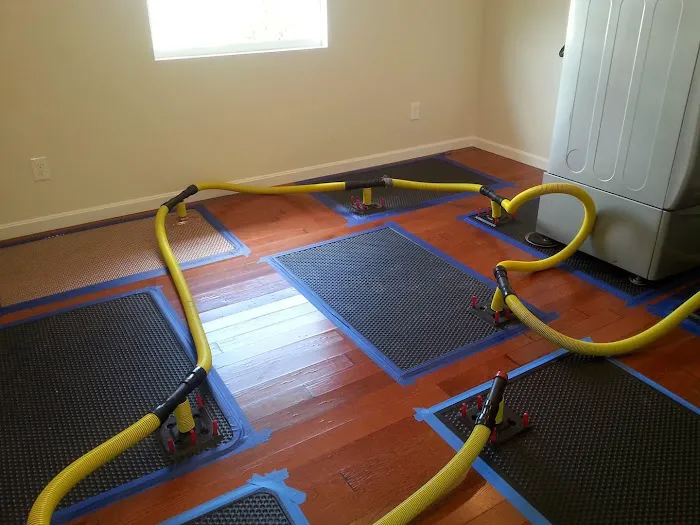 Proguard Restoration Picture 10