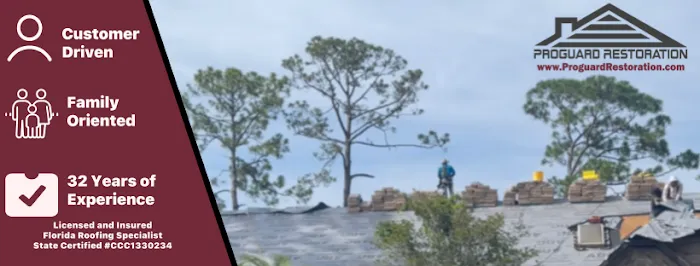 Proguard Restoration Picture 9