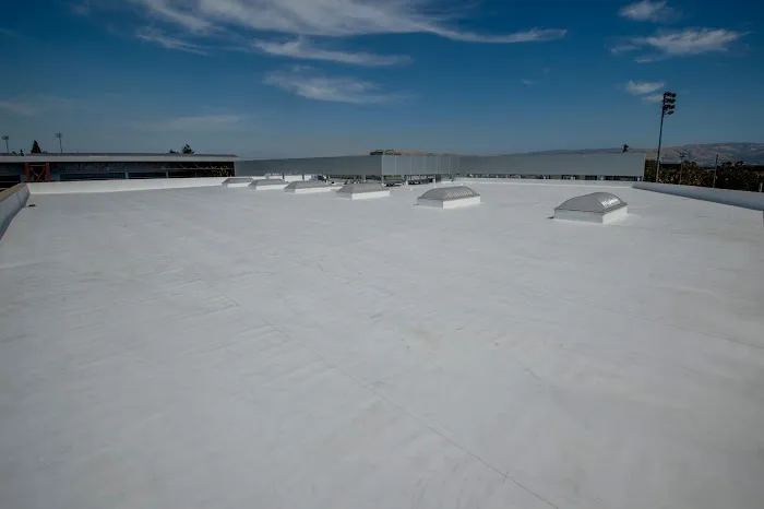 Adamz' Roofing Inc. Picture 6