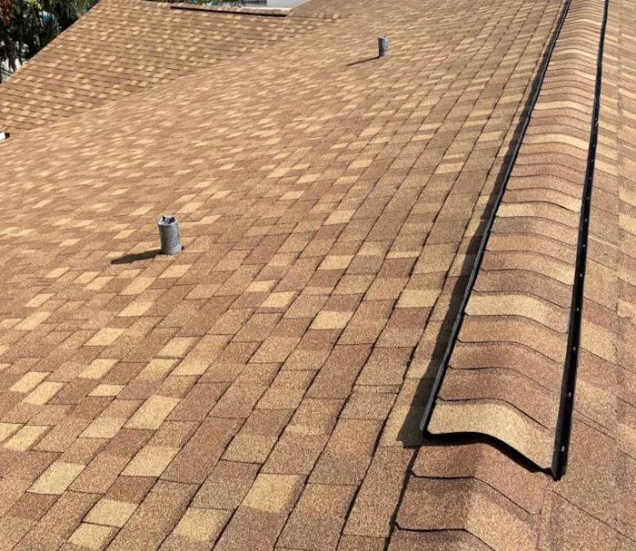 Bruzz Roofing Picture 3