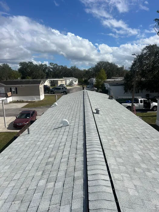 Bruzz Roofing Picture 5