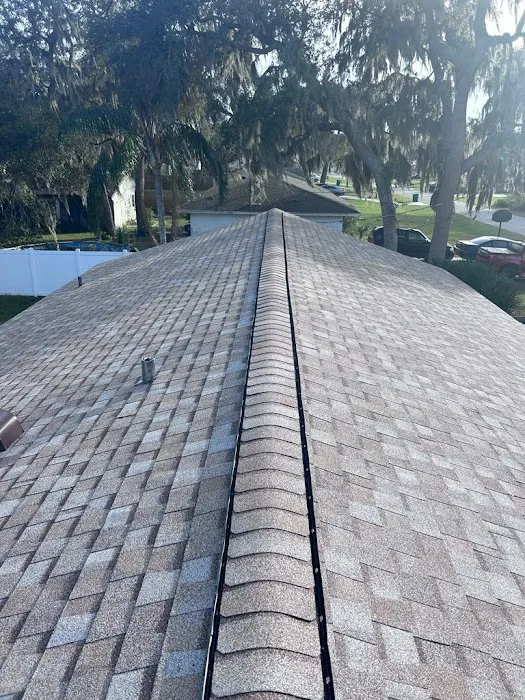 Bruzz Roofing Picture 1