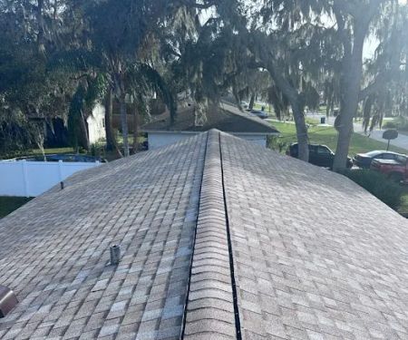 Bruzz Roofing