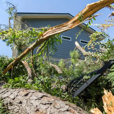 Alan's Roofing Inc Picture 9