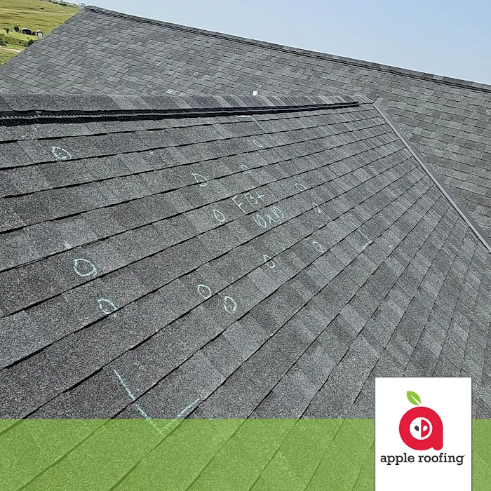 Apple Roofing Picture 10