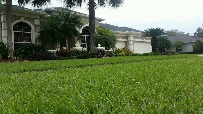 Professional Sunshine Roofing Picture 7