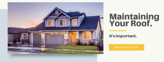 Professional Sunshine Roofing Picture 6