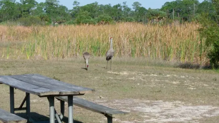 Kuykendall Roofing Picture 3