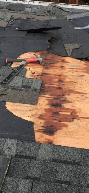 Executive Roof Services Picture 5