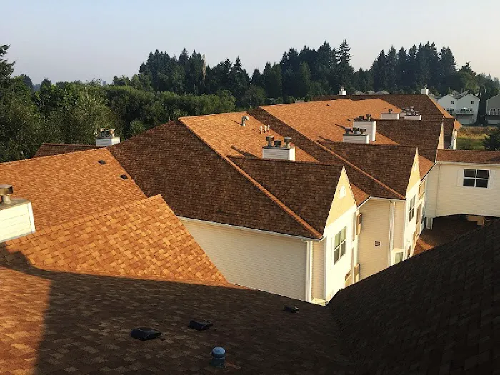 Dr. Roof, Inc Picture 5