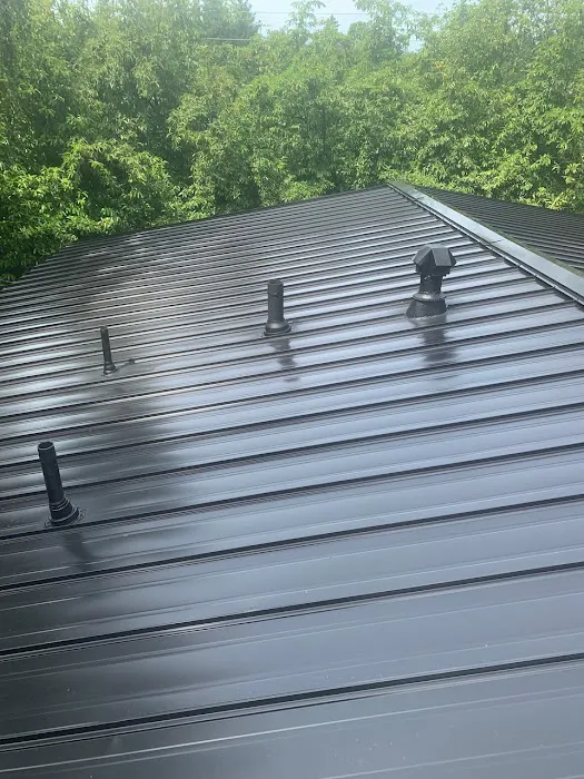 Elements Roofing SE Picture 2