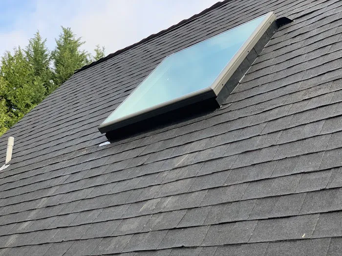 Elements Roofing SE Picture 3