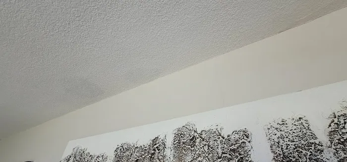 Elements Roofing NW Picture 1