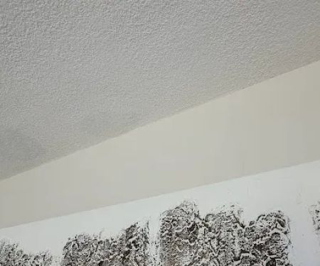 Elements Roofing NW