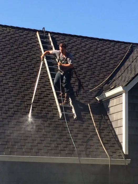 Portland Roof Cleaning And Gutter Service Picture 3