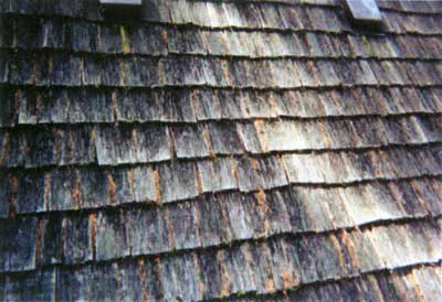 Portland Roof Cleaning And Gutter Service Picture 2