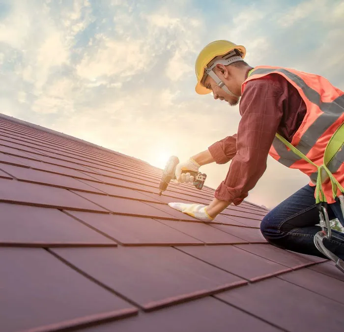 NW ROOFTOPPERS Picture 2