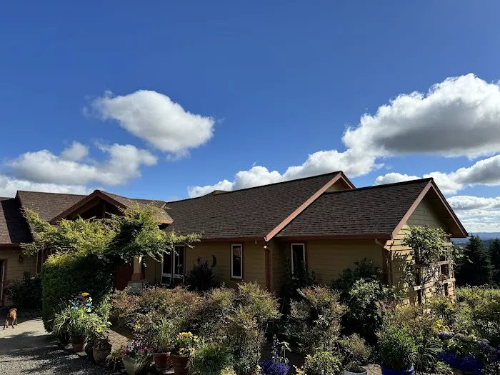 Orion Roofing Picture 1